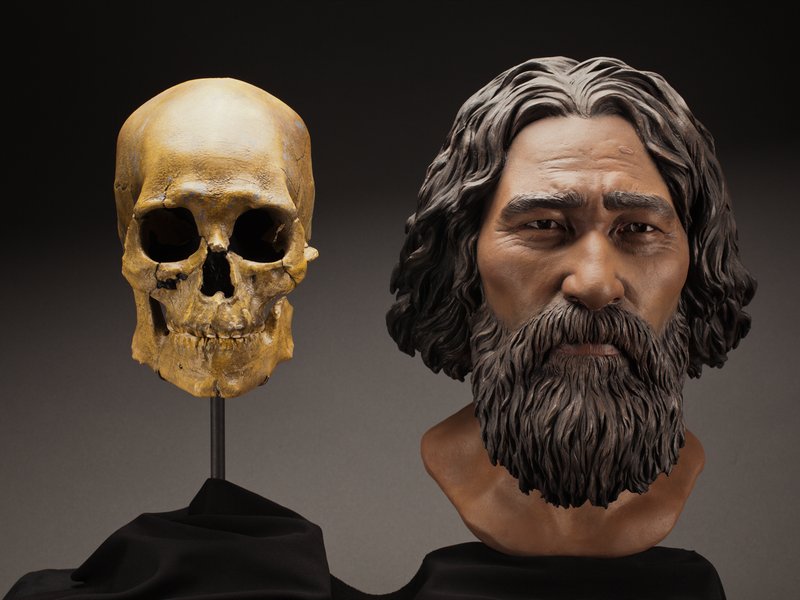 A reconstruction of Kennewick Man now confirmed to be of Native American descent. Photo: Brittney Tatchell ©Smithsonian Institution.