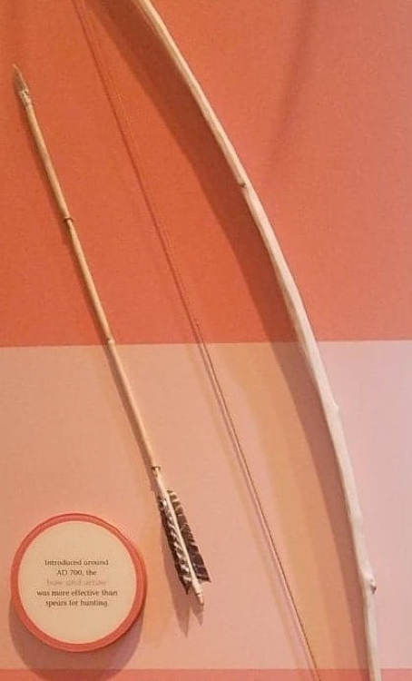 Figure 4. Bow and arrow, Museum of Alabama.